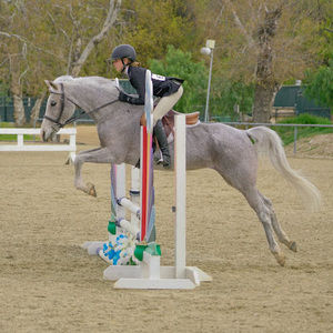 Meet your Posher, Eliza